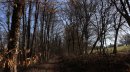 Bois de la Bouloye